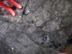 BBB preview: Victoria Sin "Sexy Pinky"(cum only) AVI noSloMo