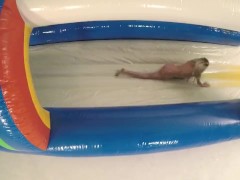 Testing Export - Screenshot 11 of 16 - Testsponsordomain