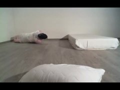 Self mummification - Screenshot 13 of 16 - Mummification