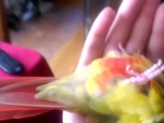 Kiwi's How to Make love Part 2