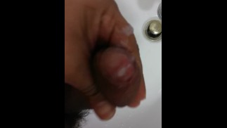棕色的大公鸡
