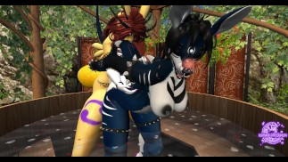 Самый красивый кенгуру во всем мире