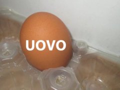 ιταλική πορεία - Screenshot 1 of 16 - Adult Toys