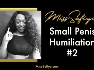 Preview - Small Penis Humiliation #2 - Audio only