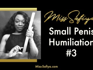 Preview - Small Penis Humiliation #3 - Audio only