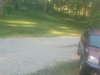 Stroking outside this morning