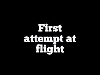 First Attempt at Flight