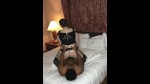 Playlist Thumb 94430651-2