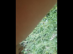 Farmer Daughter Takes Long Pee In Field