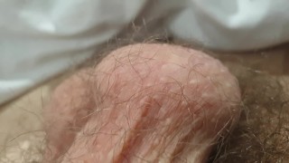 Hairy man with long pubes close-up in bed *comment if you liked*