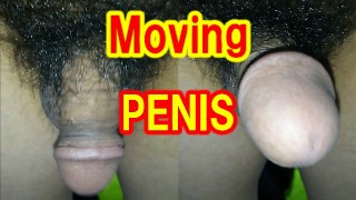 Moving penis
