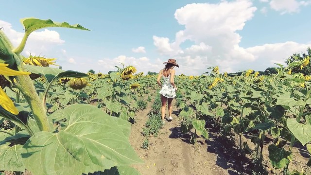 POV Venku. Kovbojka na koni v poli slunečnic