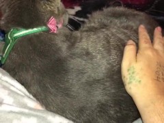 Boobs Ross — petting my hairy pussy — julyathon 11