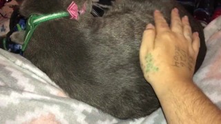 Boobs Ross — petting my hairy pussy — julyathon 11