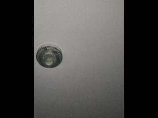 Staring at the ceiling at 1 am thinking about storming Area 51