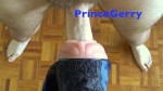 Playlist Thumb 9686941-1