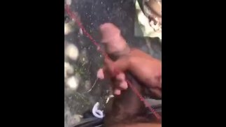 Öffentliches Solo mit bbc