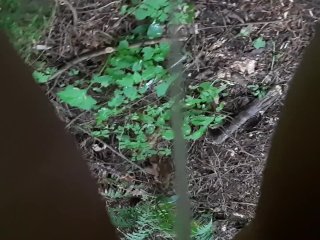 woods, small tits, outside, kink