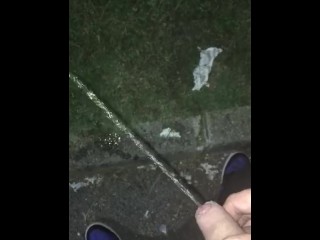 Piss at the Park