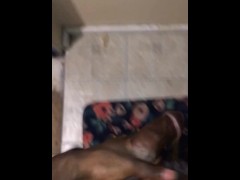 Jacking Off while talking dirty - Screenshot 15 of 16 - Jerking Off