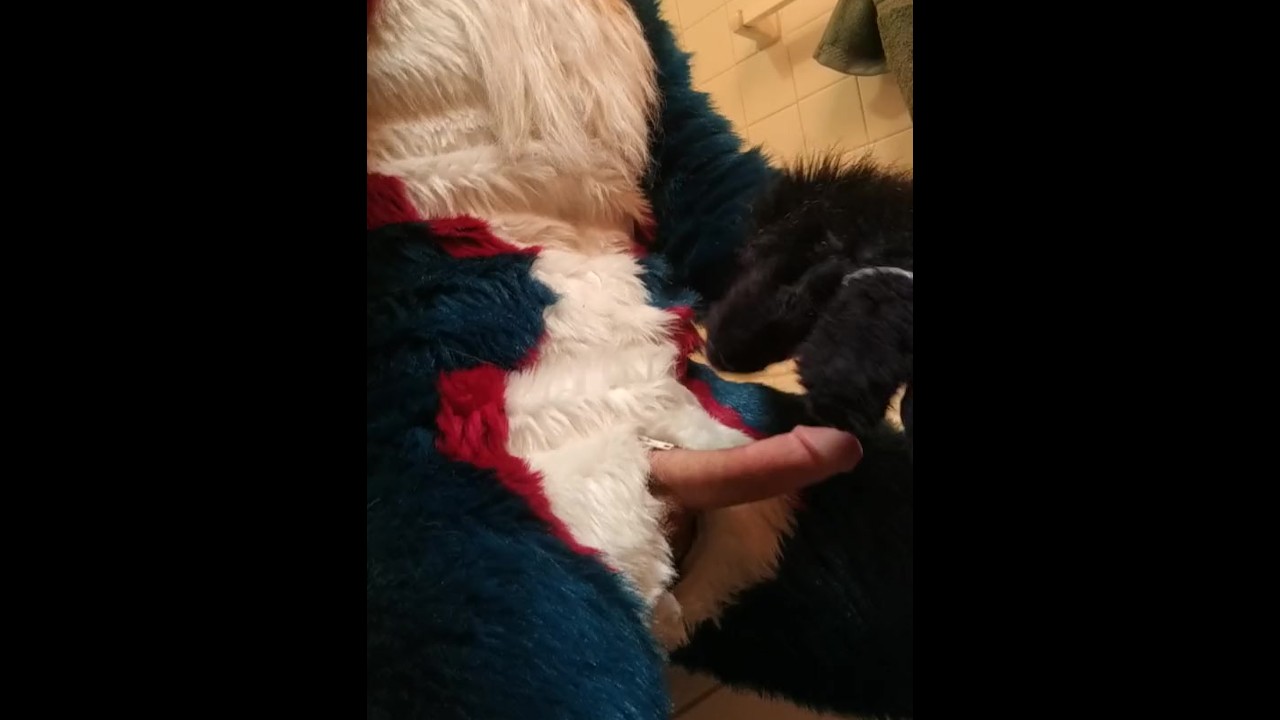 Slideshow fursuit jerking off.