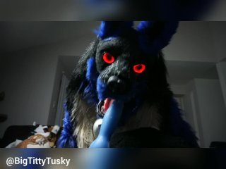 adult toys, fetish, furry, cumlube