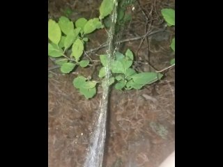 Late Night Piss In Woods