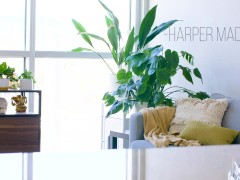 Teasing You - Screenshot 1 of 16 - Tattoos