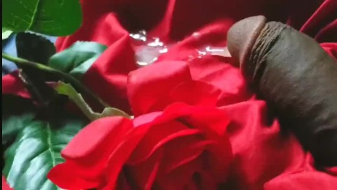 cumming on a rose and showing off some ass