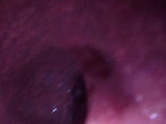 Internal Camera Anal XL Bad Dragon Diego Quicky