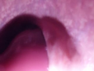 Internal Camera Anal XL Bad Dragon Diego Quicky