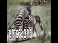 EXPERIMENTAL HARSH NOISE [PLUNDER-PHONICS] - BUKAKKI FIRESTORM 