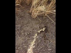 Country Girl Pees In Field During 4 Wheeler Ride