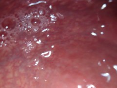 Internal View XL Bad Dragon Diego Anal Multi Cum Shot