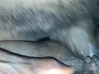HAIRY CREAMY PUSSY GETTING FUCKED