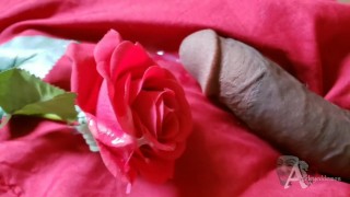 gozando em uma provocação de pau de rosa