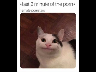 Drôles De Memes Porno que Vous will Exploser