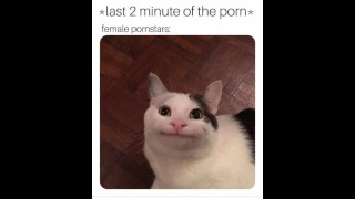 Divertidos memes porno que Will explotan