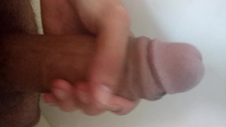 看看这只巨大的公鸡!!