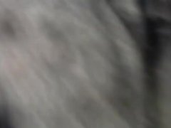 Kenneth Jule Williams Vibrator Blowjob