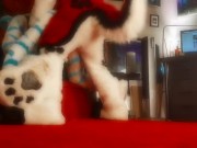 Preview 2 of Chastity Slut gets railed in Fursuit