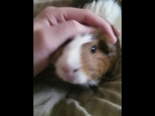 She likes being rubbed rough