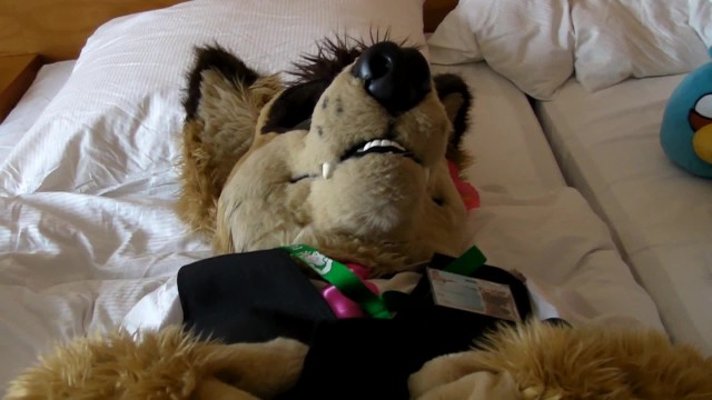 Me Wearing Pakyto while getting a Handjob by the Fursuit Owner - Pornhub.com
