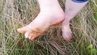 Веселье в высокой траве