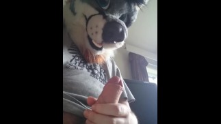 Просто короткое видео лап и кончания крупным планом