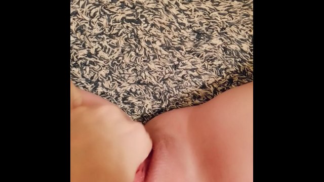 Pussy Playtime )