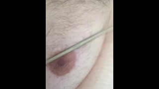 Pain: Chubby guy nipple torture