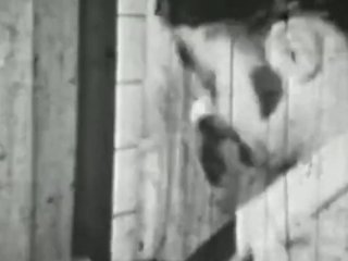 Pornhub X Museum of Sex: The STAG Exhibit_Walkthrough