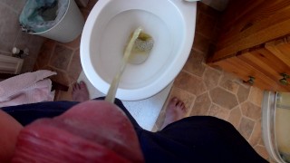 TOILET PISS COCK CAM