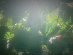 May Queen Gets Dirty With Zucchini
